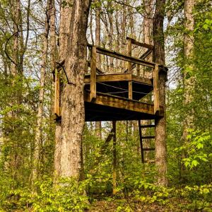 Photo #24 of 171 Bigger, Cumberland, VA 3.8 acres