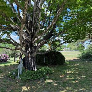 Photo #43 of 712 Rices Depot Rd, Rice, VA 1.8 acres