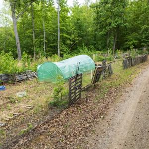 Photo #26 of 1370 Hunters Lane, Chase City, VA 4.6 acres