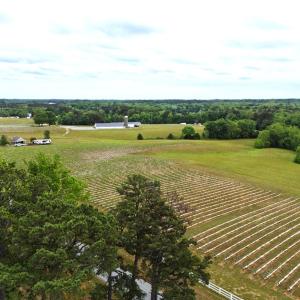 Photo #20 of 867 Hite Drive, Buffalo Junction, VA 1.0 acres