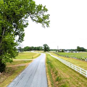 Photo #24 of 867 Hite Drive, Buffalo Junction, VA 1.0 acres