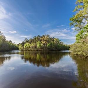 Photo #6 of 278 Salt Lick Lane, Appomattox, VA 50.6 acres