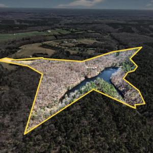 Photo #70 of 278 Salt Lick Lane, Appomattox, VA 50.6 acres