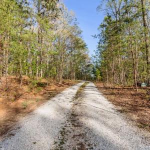 Photo #74 of 278 Salt Lick Lane, Appomattox, VA 50.6 acres