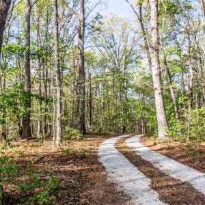 Photo #75 of 278 Salt Lick Lane, Appomattox, VA 50.6 acres