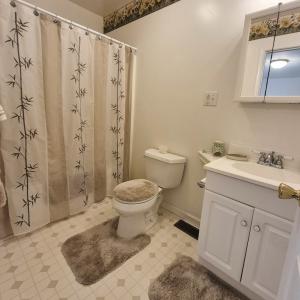 Photo #17 of 364 Mount Harmony Road, Keysville, VA 4.9 acres