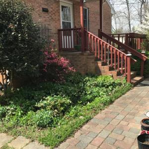 Photo #18 of 2501 Whitehead Road, Keysville, VA 9.5 acres