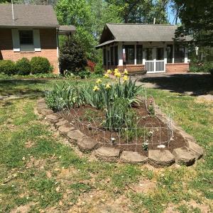 Photo #22 of 2501 Whitehead Road, Keysville, VA 9.5 acres