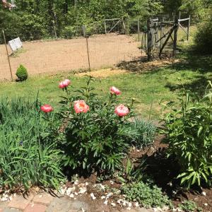 Photo #23 of 2501 Whitehead Road, Keysville, VA 9.5 acres