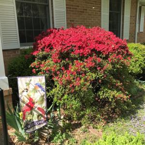 Photo #4 of 2501 Whitehead Road, Keysville, VA 9.5 acres