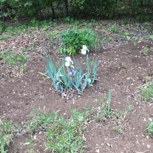 Photo #65 of 2501 Whitehead Road, Keysville, VA 9.5 acres