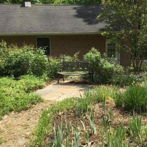 Photo #71 of 2501 Whitehead Road, Keysville, VA 9.5 acres