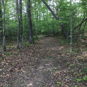 Photo #73 of 2501 Whitehead Road, Keysville, VA 9.5 acres