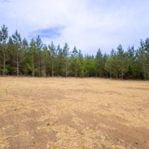 Photo #51 of 16519 Richmond Highway, Pamplin, VA 2.2 acres