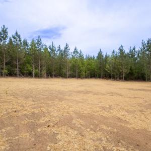 Photo #49 of 16519 Richmond Highway, Pamplin, VA 2.2 acres