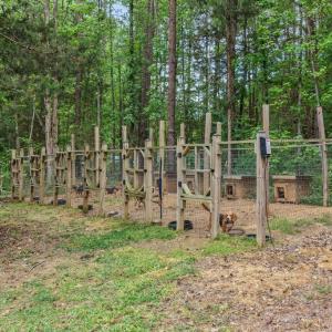 Photo #54 of 3064 Bellevue Rd, Halifax, VA 2.5 acres