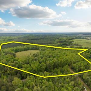 Photo #2 of 3537 Hardy Road, Keysville, VA 39.3 acres