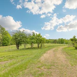 Photo #41 of 3537 Hardy Road, Keysville, VA 39.3 acres