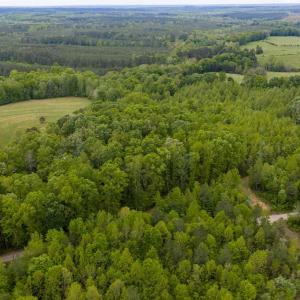 Photo #51 of 3537 Hardy Road, Keysville, VA 39.3 acres