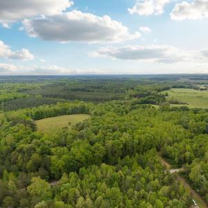 Photo #52 of 3537 Hardy Road, Keysville, VA 39.3 acres