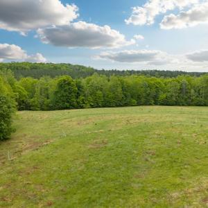 Photo #61 of 3537 Hardy Road, Keysville, VA 39.3 acres