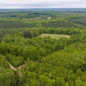 Photo #62 of 3537 Hardy Road, Keysville, VA 39.3 acres