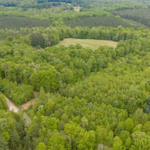 Photo #63 of 3537 Hardy Road, Keysville, VA 39.3 acres