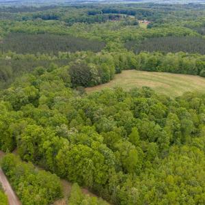 Photo #65 of 3537 Hardy Road, Keysville, VA 39.3 acres