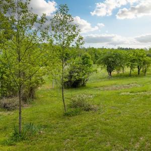 Photo #67 of 3537 Hardy Road, Keysville, VA 39.3 acres