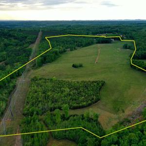 Photo #3 of 258 Peaceful Lane, Dry Fork, VA 99.0 acres