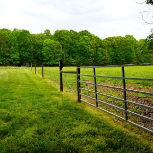 Photo #49 of 258 Peaceful Lane, Dry Fork, VA 99.0 acres