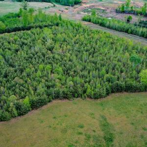 Photo #52 of 258 Peaceful Lane, Dry Fork, VA 99.0 acres