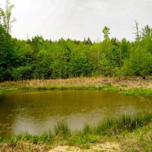 Photo #53 of 258 Peaceful Lane, Dry Fork, VA 99.0 acres