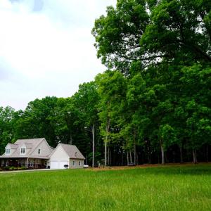 Photo #6 of 258 Peaceful Lane, Dry Fork, VA 99.0 acres