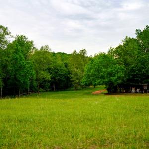 Photo #50 of 258 Peaceful Lane, Cascade, VA 99.0 acres