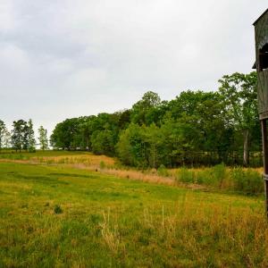Photo #51 of 258 Peaceful Lane, Cascade, VA 99.0 acres