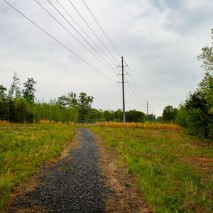 Photo #54 of 258 Peaceful Lane, Cascade, VA 99.0 acres