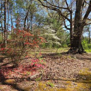 Photo #40 of 508 Kevin Dr, Farmville, VA 0.9 acres