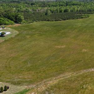 Photo #17 of 8 Red Oak Ln, Skipwith, VA 55.6 acres
