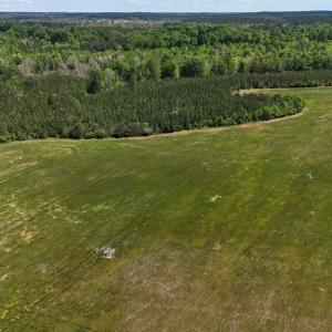 Photo #18 of 8 Red Oak Ln, Skipwith, VA 55.6 acres