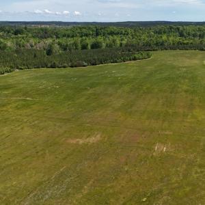Photo #19 of 8 Red Oak Ln, Skipwith, VA 55.6 acres