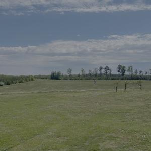 Photo #66 of 8 Red Oak Ln, Skipwith, VA 55.6 acres