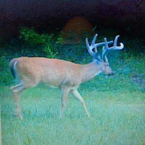 Photo #50 of 8598 W Courthouse Road, Burkeville, VA 100.0 acres