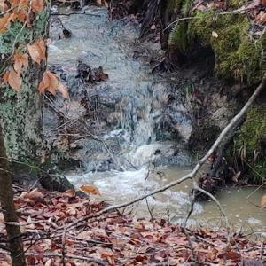 Photo #51 of 8598 W Courthouse Road, Burkeville, VA 100.0 acres