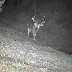 Photo #52 of 8598 W Courthouse Road, Burkeville, VA 100.0 acres
