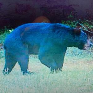 Photo #53 of 8598 W Courthouse Road, Burkeville, VA 100.0 acres