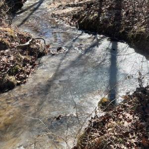Photo #54 of 8598 W Courthouse Road, Burkeville, VA 100.0 acres
