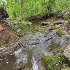 Photo #55 of 8598 W Courthouse Road, Burkeville, VA 100.0 acres