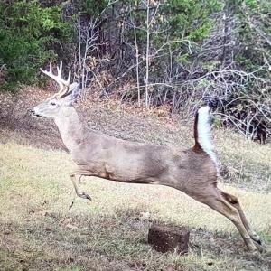 Photo #58 of 8598 W Courthouse Road, Burkeville, VA 100.0 acres