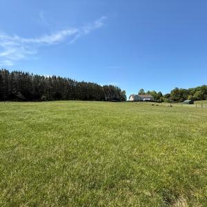 Photo #38 of 1528 Police Tower Rd, Appomattox, VA 23.3 acres